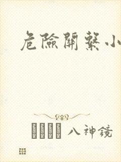 危险关系小说