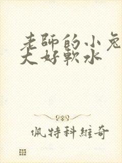 老师的小兔子好大好软水