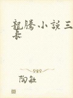 龙腾小说三宝局长