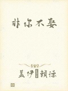 非你不娶封面