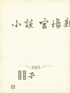 小说 官场新贵