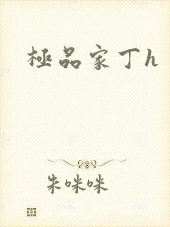 极品家丁h