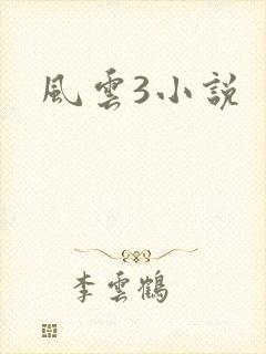 风云3小说