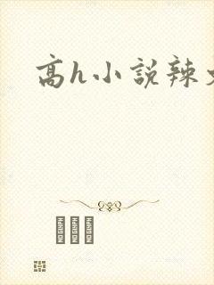 高h小说辣文封面