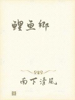 鲤鱼乡封面