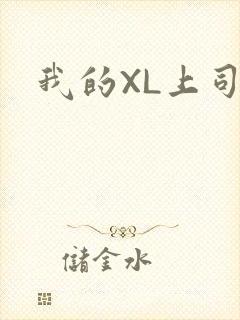 我的XL上司