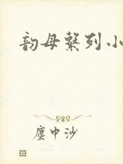 韵母系列小说