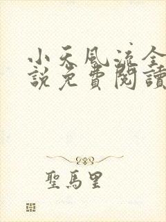 小天风流全集小说免费阅读