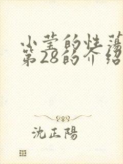 小莹的性荡生活第28的介绍封面