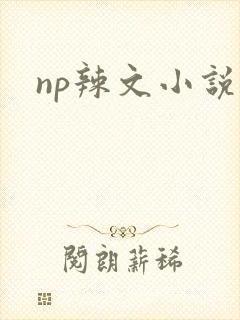 np辣文小说封面