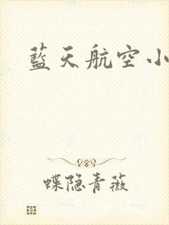 蓝天航空小说