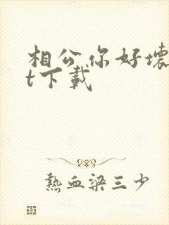 相公你好坏txt下载