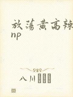 放荡黄高辣h文np