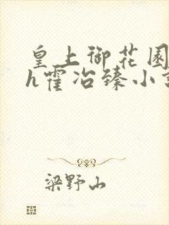 皇上御花园hlh霍冶臻小说
