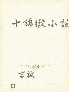 十锦缎小说