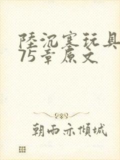 陆沉塞玩具高速75章原文