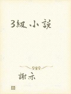 3级小说封面