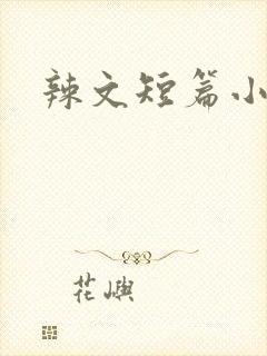 辣文短篇小说