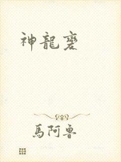 神龙变封面