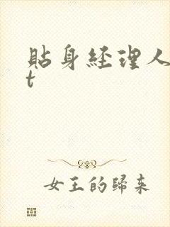 贴身经理人txt