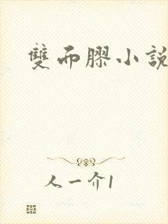 双面胶小说