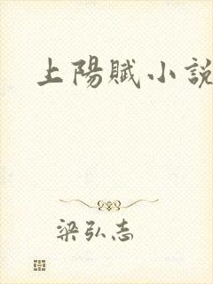上阳赋小说封面