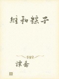 维和粽子