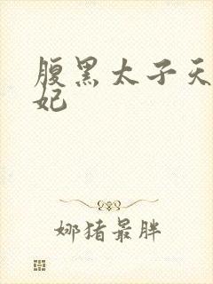 腹黑太子天降萌妃