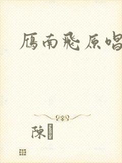 雁南飞原唱封面