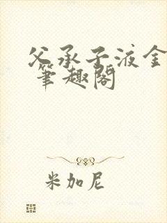 父承子液金银花 笔趣阁封面