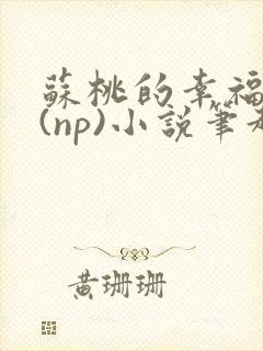 苏桃的幸福生活(np)小说笔趣阁沐沐封面