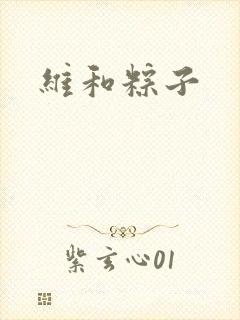 维和粽子