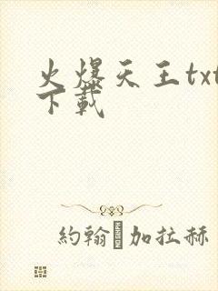 火爆天王txt下载封面