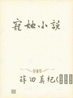 宠她小说