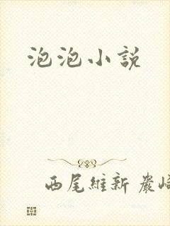 泡泡小说封面