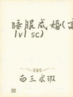 睡服成婚(高h 1v1 sc)