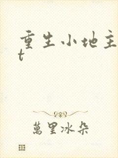 重生小地主txt