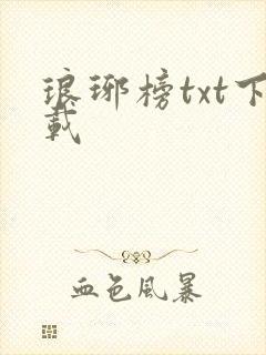 琅琊榜txt下载封面