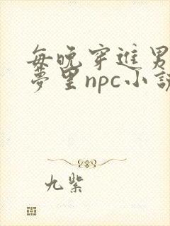 每晚穿进男神的梦里npc小说封面