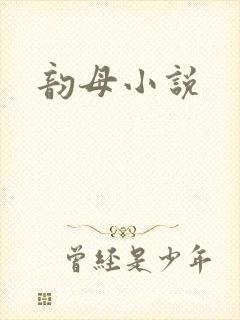 韵母小说