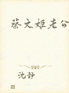蔡文姬老公