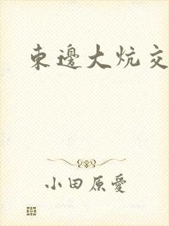 东边大炕交换封面