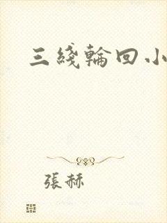 三线轮回小说封面