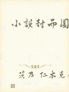小说封面图
