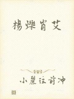 杨烁肖艾封面