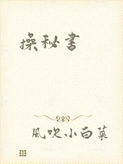 操秘书