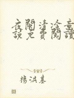 夜阑清冷意欢小说免费阅读