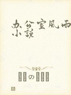 办公室风雨完整小说封面