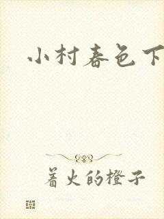小村春色下载