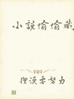 小说偷偷藏不住封面